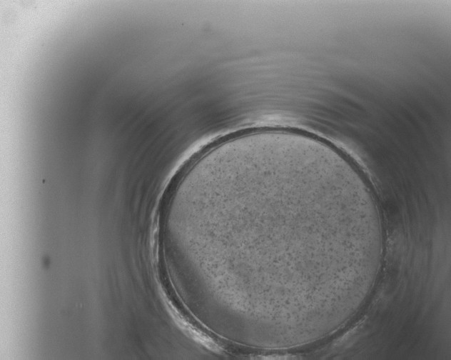 X0000080101126200612221732