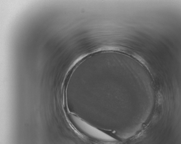 X0000080101127200612221732