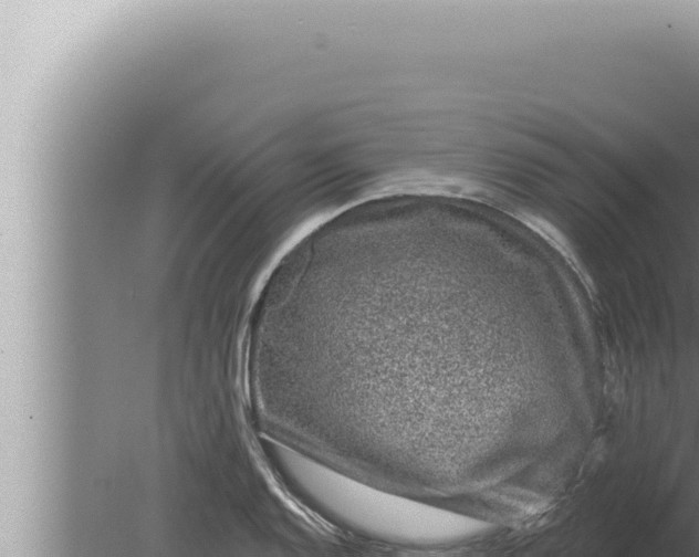 X0000080101128200612221732