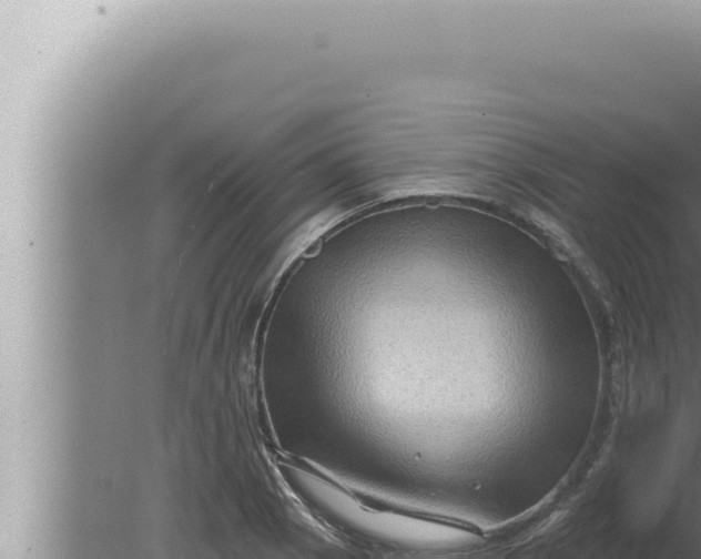 X0000080101129200612221732