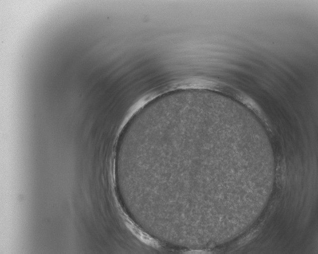 X0000080101130200612221732