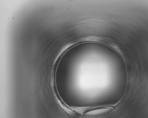 X0000080101131200612221732