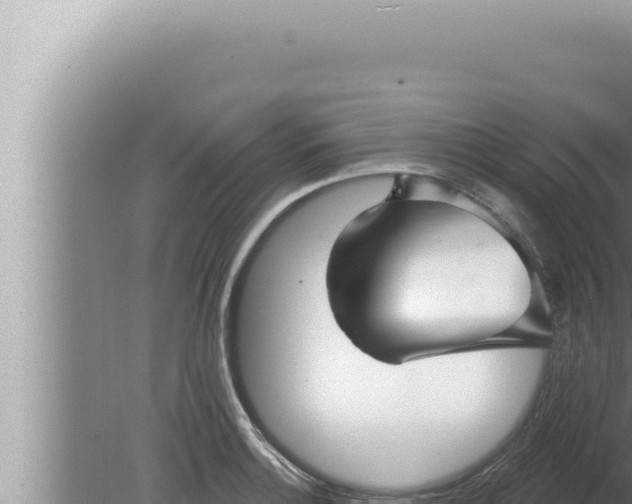 X0000080101132200612221732