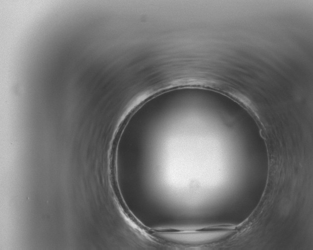 X0000080101135200612221732