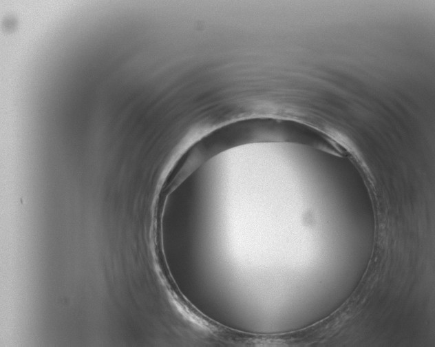 X0000080101136200612221732