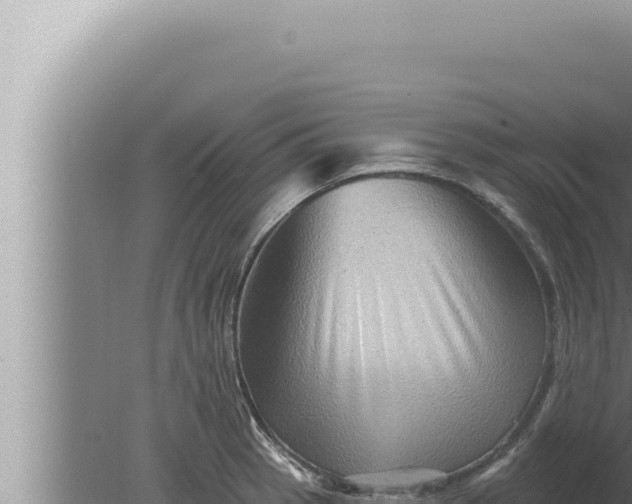 X0000080101137200612221732