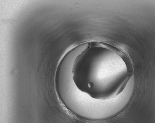 X0000080101138200612221732