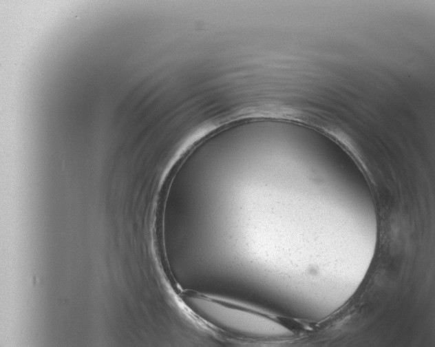 X0000080101139200612221732