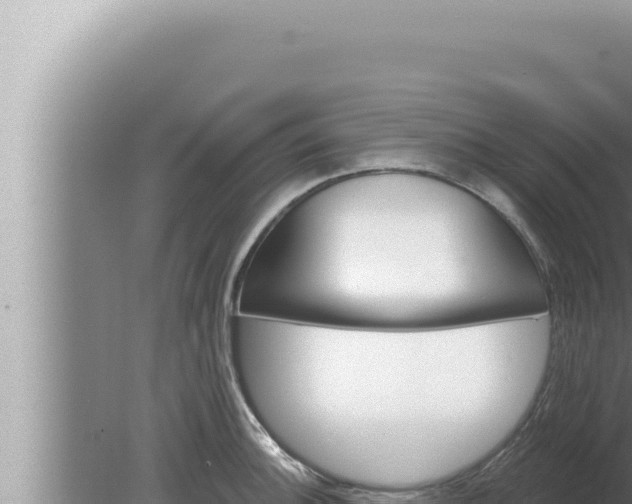 X0000080101140200612221732