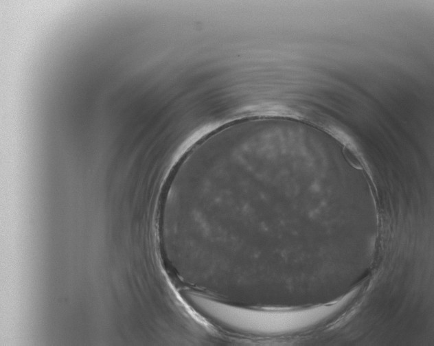 X0000080101141200612221732