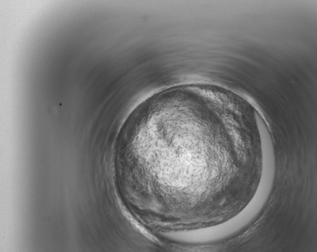 X0000080101142200612221732