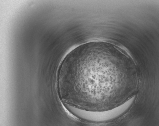 X0000080101143200612221732