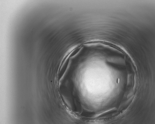 X0000080101145200612221732