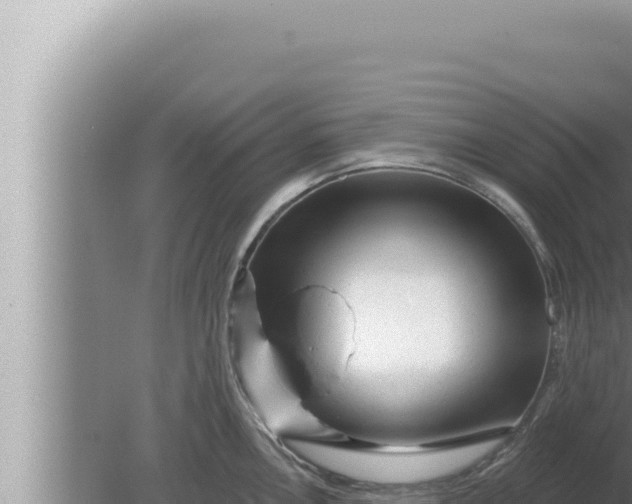 X0000080101146200612221732