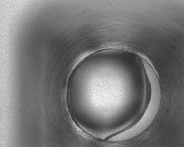 X0000080101147200612221732