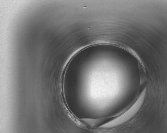 X0000080101148200612221732