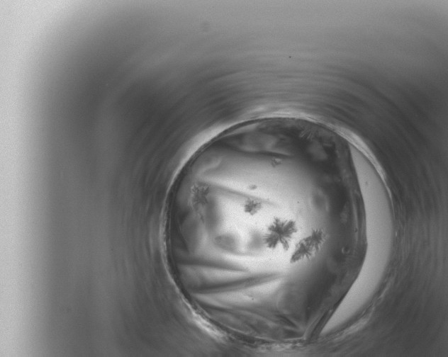 X0000080101149200612221732