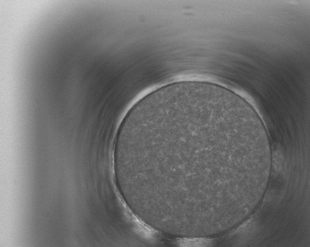 X0000080101150200612221732