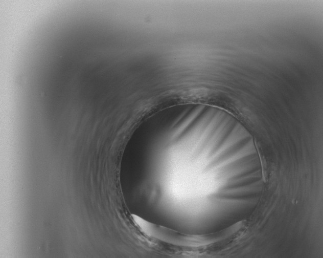 X0000080101153200612221731