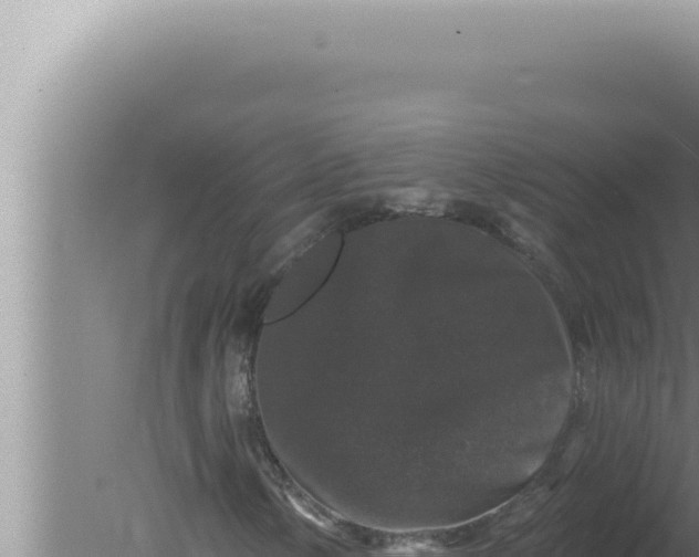 X0000080101154200612221731