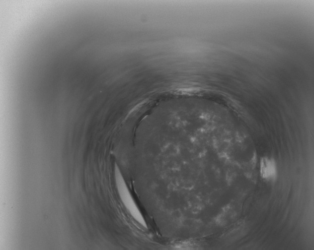 X0000080101155200612221731