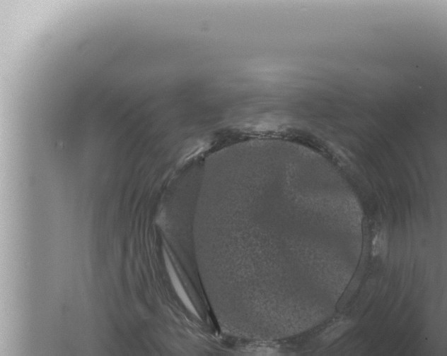 X0000080101156200612221731