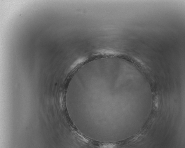 X0000080101157200612221731