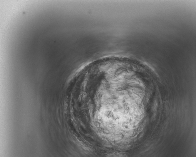 X0000080101159200612221731