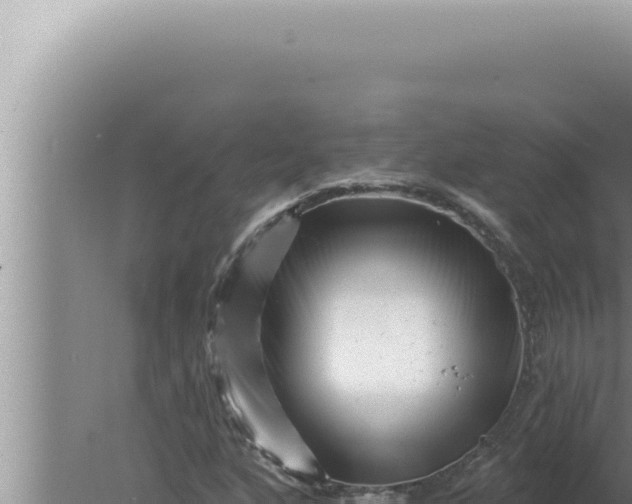 X0000080101160200612221731