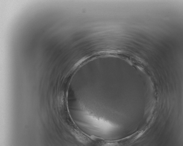 X0000080101161200612221731