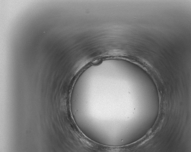 X0000080101162200612221731