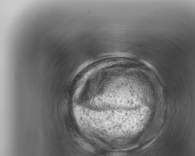 X0000080101163200612221731