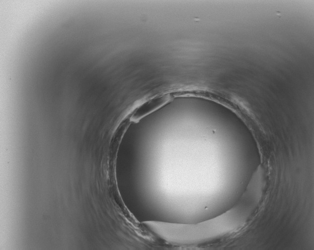 X0000080101165200612221731