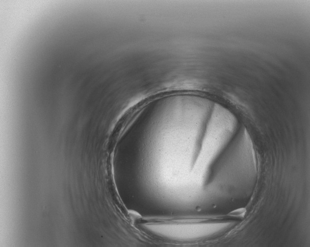 X0000080101166200612221731