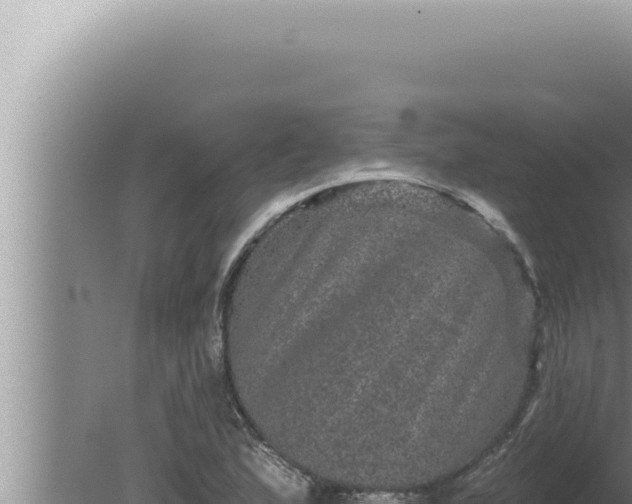 X0000080101167200612221731