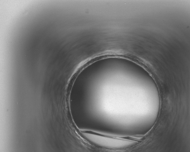 X0000080101168200612221731