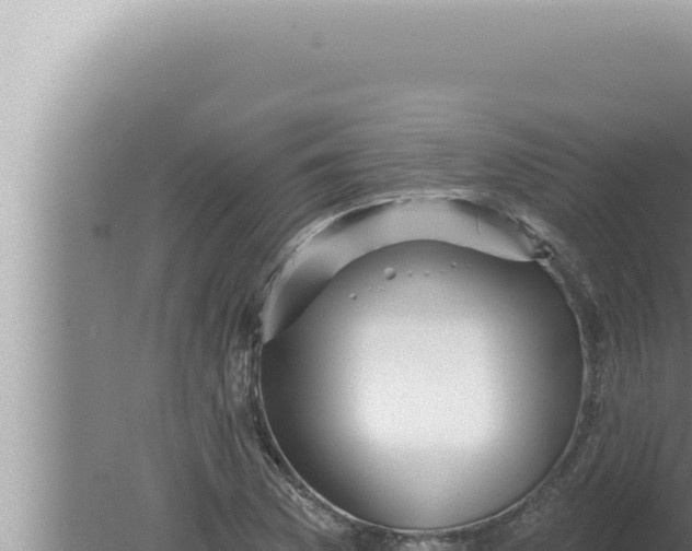 X0000080101169200612221731