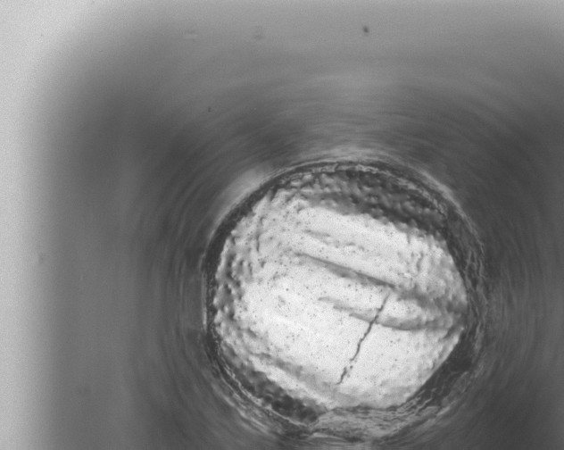 X0000080101171200612221731