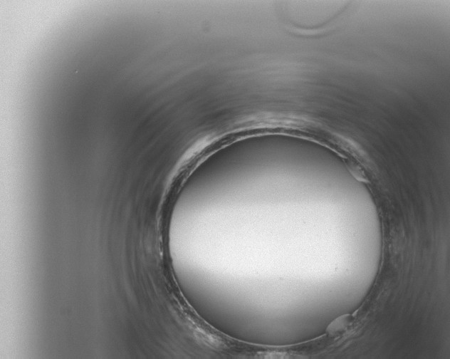 X0000080101172200612221731