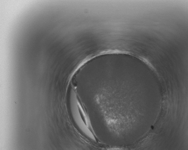 X0000080101173200612221731