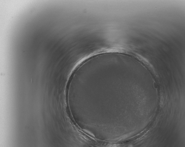 X0000080101174200612221731