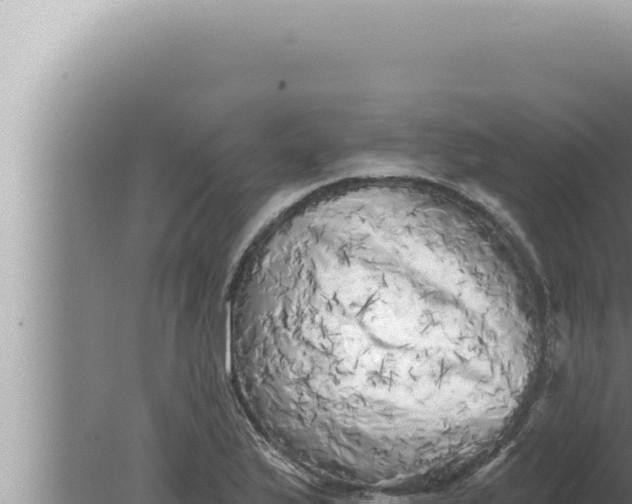 X0000080101175200612221731