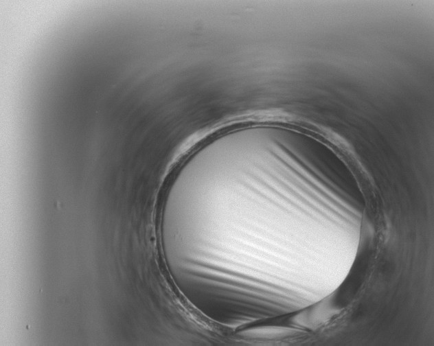 X0000080101176200612221731