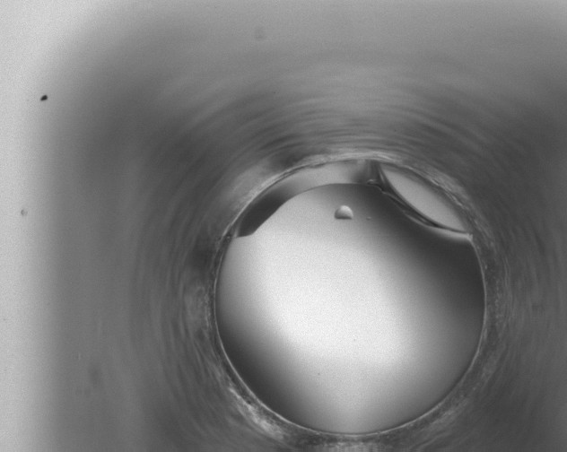 X0000080101177200612221731