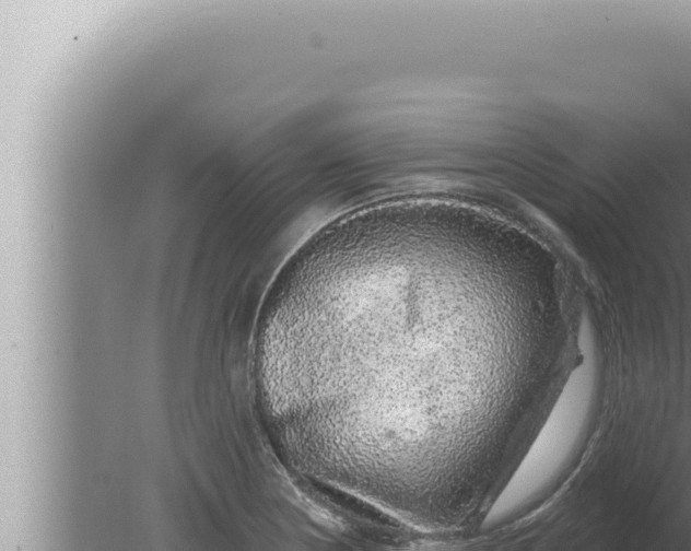 X0000080101178200612221731