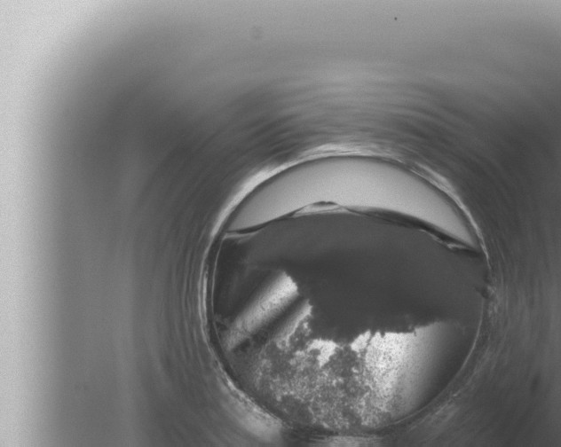 X0000080101179200612221731