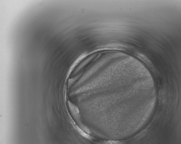 X0000080101180200612221731