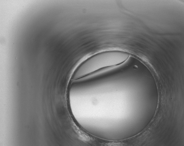 X0000080101181200612221731