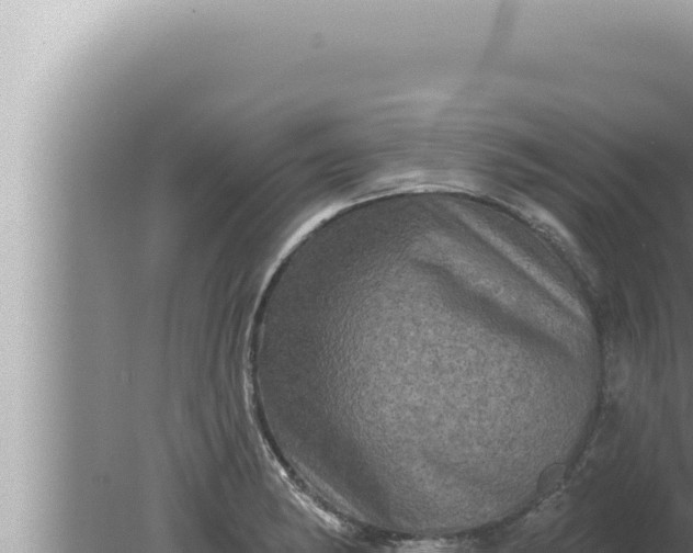 X0000080101182200612221731