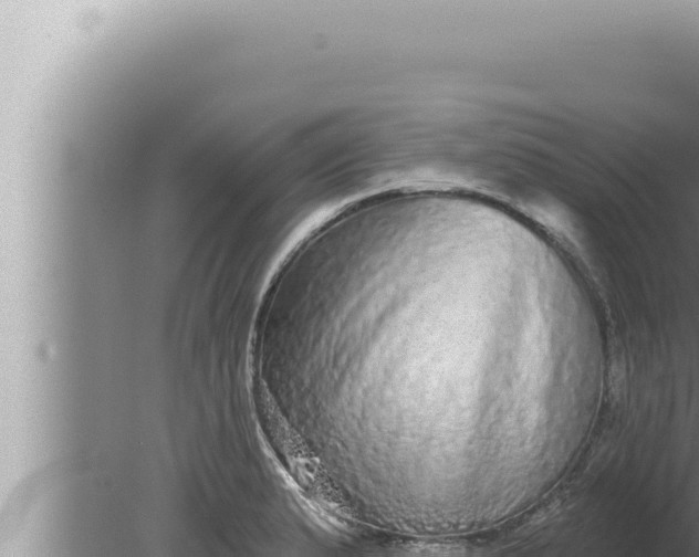 X0000080101183200612221731